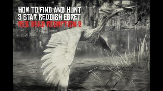 Red Dead Redemption 2 Perfect Reddish Egret Hunting Guide [upl. by Eltsirhc393]