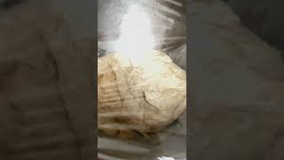 Cover with cling wrap and cloth on top baking breadbaker bread breadmaking [upl. by Eillehs]