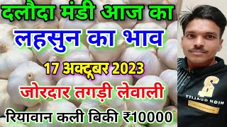 दलौदा मंडी आज का लहसुन का भाव 17 अक्टूबर 2023  garluc rate today daloda aaj ka lahsun ka bhav [upl. by Zola283]