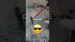 That was very Demure😂🤣 shorts funny trending satisfying [upl. by Aruasi767]