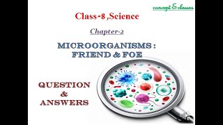 Question amp Answers of Class 8  Science Chapter 2 MICROORGANISMS  FRIEND amp FOE [upl. by Cupo]