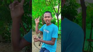 9 kyunki hamara Sara dost vahi milega 🤗😜😂 viral funny comedy shortvideo [upl. by Sherris793]