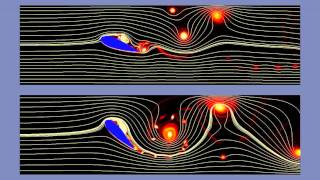 CFD Simulation of flow over NACA airfoil [upl. by Takakura626]