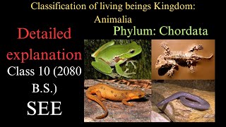 SEE Unit2 Classification of living beings Part5 Phylum Chordata [upl. by Winne530]