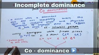 Co  dominance and Incomplete dominance in hindi ll biology ll [upl. by Zeph]