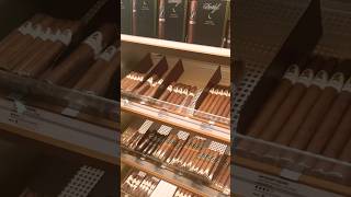 Humidor Tour at BLEND Bar with Davidoff Cigars [upl. by Bolitho]