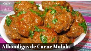 COMO HACER ALBONDIGAS DE CARNE MOLIDA PASO A PASO [upl. by Morrie820]