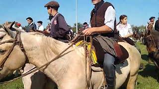 Cabalgando a quotLa Fiesta del Talar  2024quot desde la rotonda de Madariaga [upl. by Ecnerual]