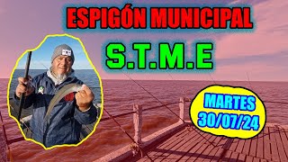 ESPIGON MUNICIPAL STME  PESCA METAL [upl. by Sida]