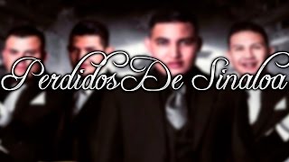 Chaparrita Pelo Largo  Perdidos De Sinaloa  2016 [upl. by Shelden]