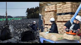 Fukushima Meltdowns amp Nuke News Top storys below As enenewscom Site Blocked By ICAAN [upl. by Clifton21]