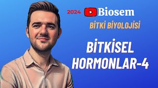 Bitki Biyolojisi  Bitkisel Hormonlar4 Konu Anlatımı 12 Sınıf Biyoloji [upl. by Aroled]