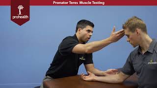 Pronator Teres Muscle Test Palp Dr Vizniak Muscle Manual [upl. by Marchelle]