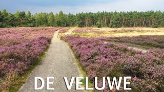 De Veluwe [upl. by Sascha]