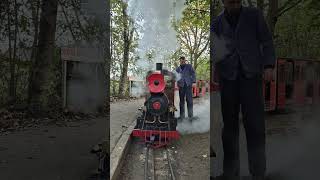 Remembrance Sunday honoured at Eastleigh Lakeside Railway railway [upl. by Etsirhc]