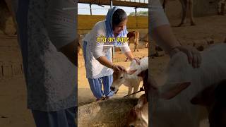 Chulha Chatni Roti  VillageLife  VillageFood  Chulha Cooking  Gaon ka swaad  Desi Food [upl. by Emerej691]