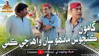 Gamoo Kanjoos Manhoo Saan Wha Ji Kayi  Asif Pahore Gamoo  Kheero Buriro  Gamoo New Video  2023 [upl. by Aij768]