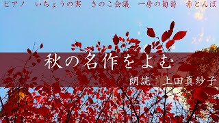 【名作朗読】秋に聴きたい名作５話【作業用】朗読：上田真紗子 心地よい癒しの朗読 聞く小説 [upl. by Edythe]