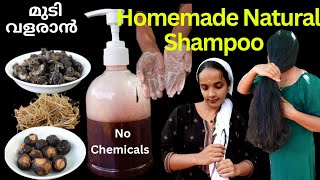 Chemical free Homemade Natural Shampoo❤How to prepare soap nut Natural Shampoo❤Best natural shampoo [upl. by Wernsman940]