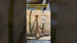 whiskey thieving 101 whiskeybarrel bourbon bourbonbarrel whiskeythief barrelproof thief [upl. by Rekyr]