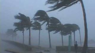 Hurricane Wilma Video  Miami Beach Florida [upl. by Katya]