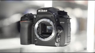 Nikon D7500 Review by Georges Cameras [upl. by Akkire]