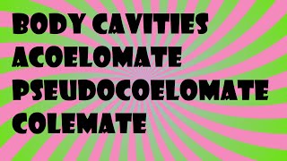 Biology Body Cavities Acoelomate Pseudocoelomate Colemate [upl. by Wrennie]