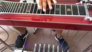 HOW TO PLAY PEDAL STEEL GUITAR FOR BEGINNERS  EPISODE 1 [upl. by Aicrop]