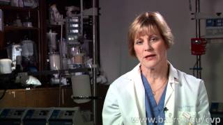 What is Cardiovascular Perfusion [upl. by Emiatej933]