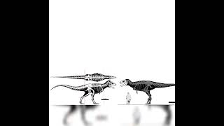 Gorgosaurus And Bistahieversor Size Comparison [upl. by Kcod]