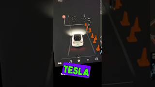 Tesla catch the ghost 👻 tesla horror ghost [upl. by Arand]