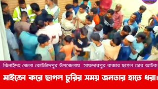 ছাগল চোর আটক মাইক্রোর মধ্যে চারটি ছাগল আটক করলেন গ্রামবাসীরা। viralvideo [upl. by Efar]