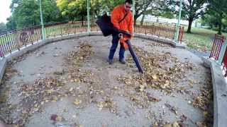 TIMBERPRO 26cc Blower Vac Mulching Demo [upl. by Tnecnev]