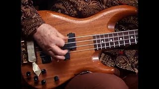 The Wrecking Crew 2008  Meet Carol Kaye Legendary Bassist [upl. by Nofets]