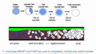 Gas Hydrates Formation amp Flow Assurance  How to Monitor amp Control [upl. by Enelie547]