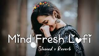 Mind Fresh Lofi Songs🥰  SlowedReverb  Hindi Songs  Hindi new Mashup 2024 bollywoodlofi [upl. by Trebloc]