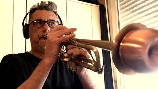 BLIND TEST TRUMPET MUTES instructional video [upl. by Jelene]