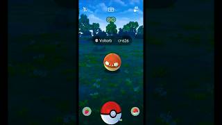 I Caught Hisuian Voltorb in Pokemon GO Indonesia Shorts Voltorb PokemonGOGameplay [upl. by Hgielrebmik]