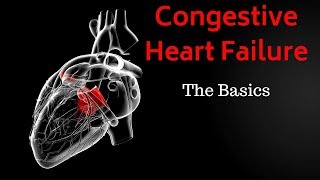 Congestive Heart Failure CHF  Basics Overview [upl. by Asek]