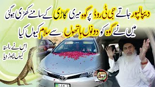 Allama Hafiz Khadim Hussain Rizvi  Dipalpur Jate Goh Meri Car Ke samne A gai  Goh Ko Salam HD [upl. by Yoo]