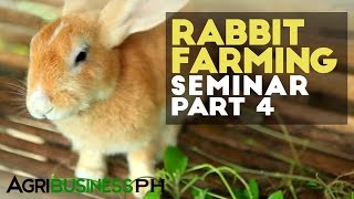 Rabbit feeding  Rabbit farming seminar part 4 Agriculture [upl. by Doner]