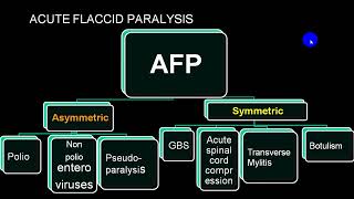 ACUTE FLACCID PARALYSIS 4TH YR [upl. by Lilias]