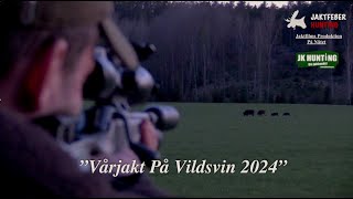 quotVårjakt På Vildsvin 2024quot Följ med jaktfeber på spännande Vildsvinsjakt på våren [upl. by Dorian]