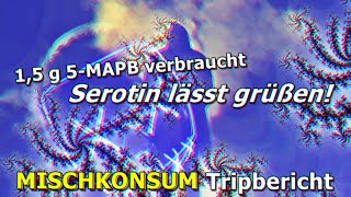 Serotin lässt grüßenquot 👋😬 5MAPB LSD Ketamin Speed 3MMC Heroin Xanax – Eure Berichte [upl. by Yssim]