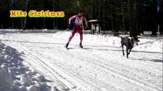 Skijoring 2012 Three Bear Sled Dog Race Skijoring video [upl. by Haila225]