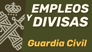 Categorías empleos y divisas de la Guardia Civil [upl. by Adraynek]