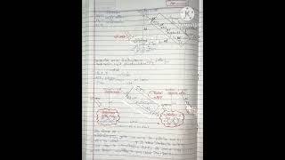 Cyclicampnoncyclic reaction light phosphorylation photosynthesisinhigherplants botanynotes pwnotes [upl. by Anaahs]