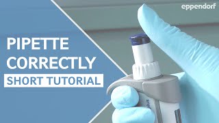 How to pipette correctly – a short stepbystep introduction into proper pipetting [upl. by Layod]