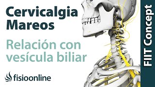 Disfunciones de vesícula biliar y dolor cervical cabeza y mareos  Causas y tratamiento [upl. by Vasily561]