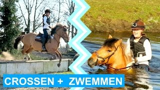 VLOG 19 Crosstraining Lammert Laseur  swimming  felinehoi [upl. by Ajit]